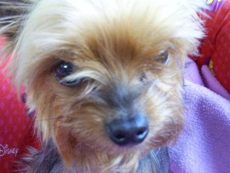 MON BEBE !!!!!!